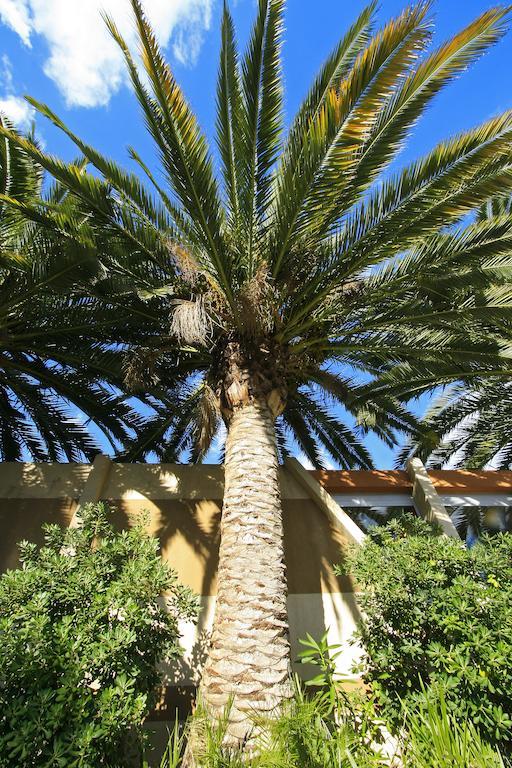 Logis NIMOTEL Hôtel Cosy Nîmes Exterior foto